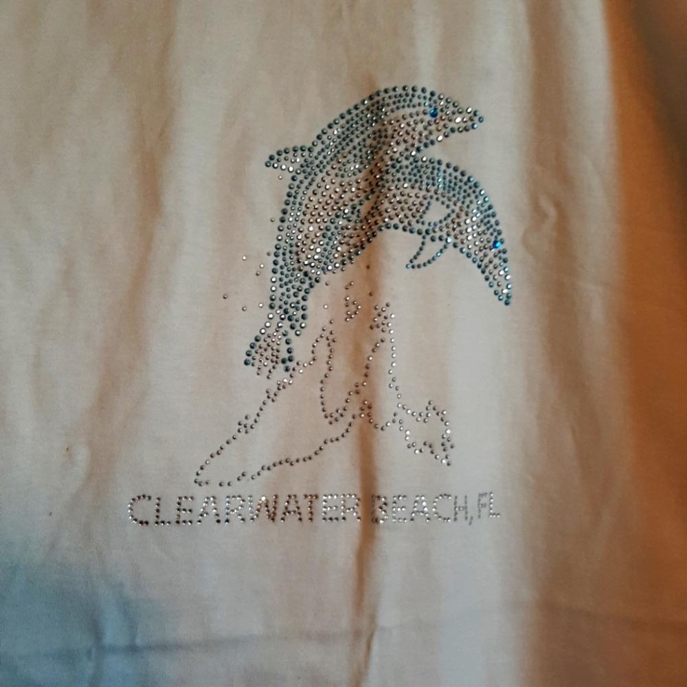 Clearwater FL Dolphine size XL